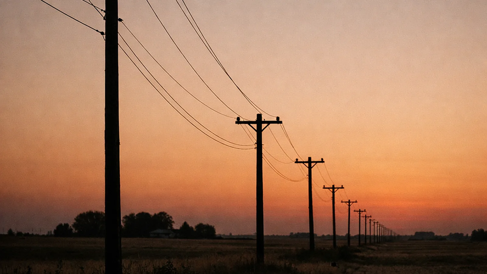 Wooden power poles carrying a distribution line across open farmland at dusk.